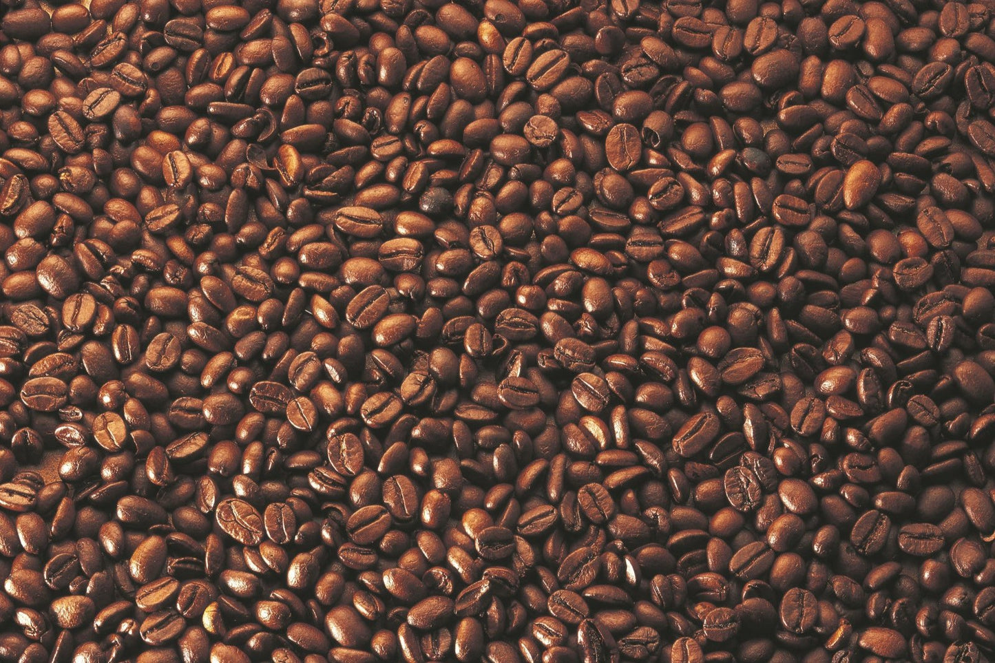 【レフィル ユーラ】スーペリアプラン(2か月目以降)